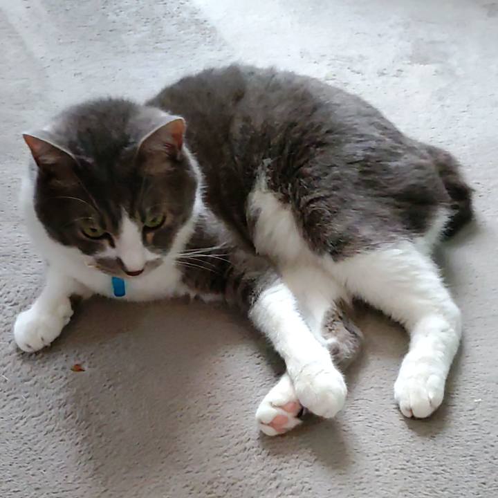 C5714c2e 063e 41eb b93d e1a1395e867a 1687743266708