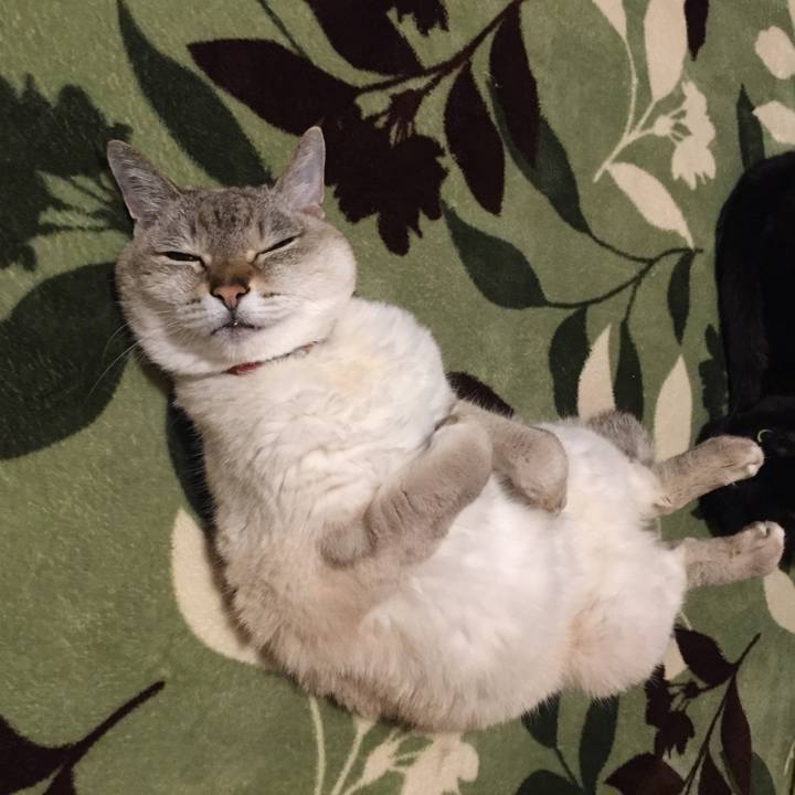 C57160b8 df96 46c6 b0a7 a894cbe900d9 1587641199388