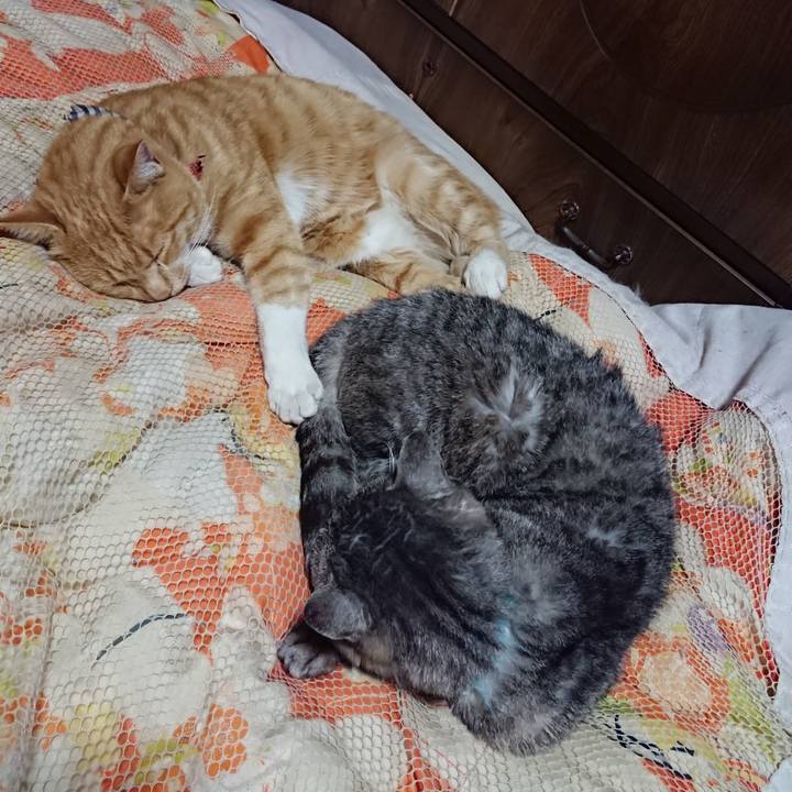 C5716bbb 01ad 4824 8c73 849e3ce27c39 1572616782393