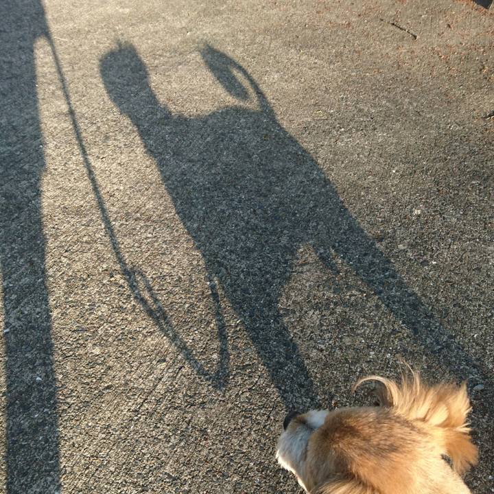 C57187ec 115f 4762 bbde acf1ecbe8b28 1524394825516