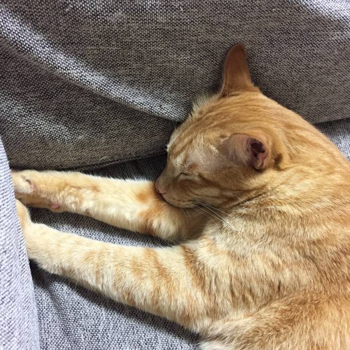 C571f0c9 9531 4d5b ac63 8fb1dc46a136 1534180621119