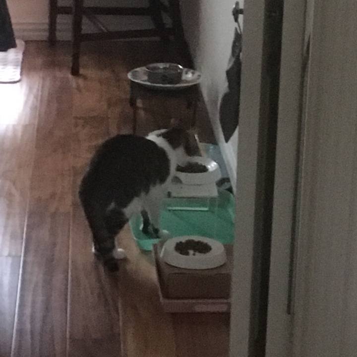 C571f7f3 98e2 4085 b911 3e0d3262e03d 1654733628048