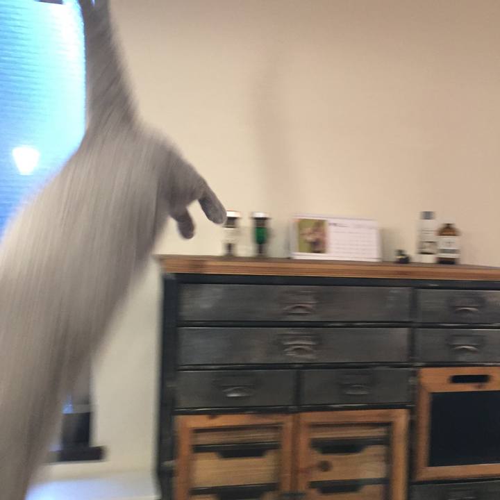 C57233d4 741e 4e81 91a2 2fe292490663 1533079088856