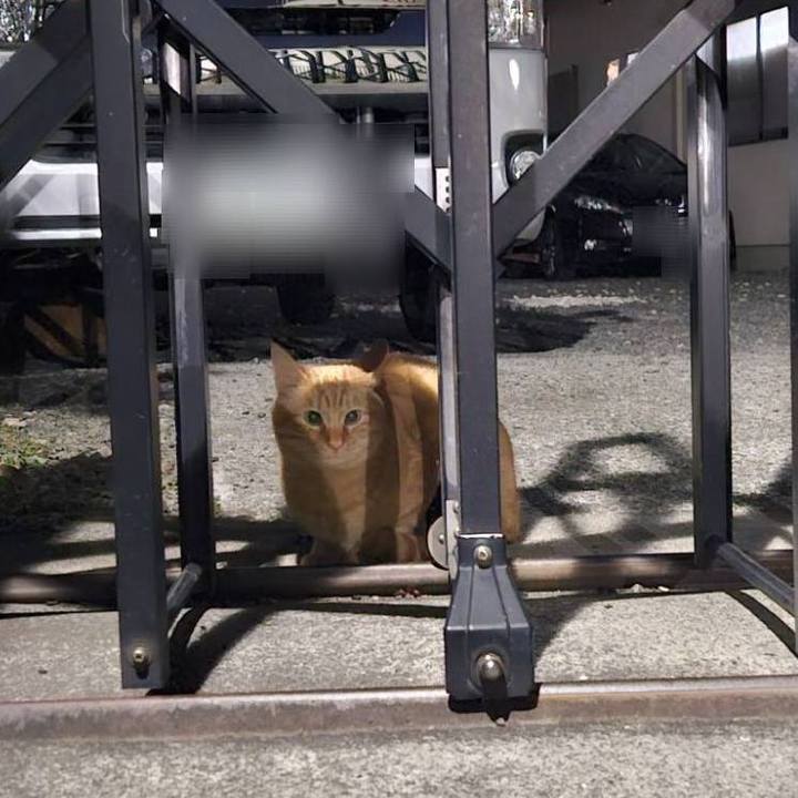 C572bc2d f746 47f6 8f40 285b1bb0df29 1706538941258