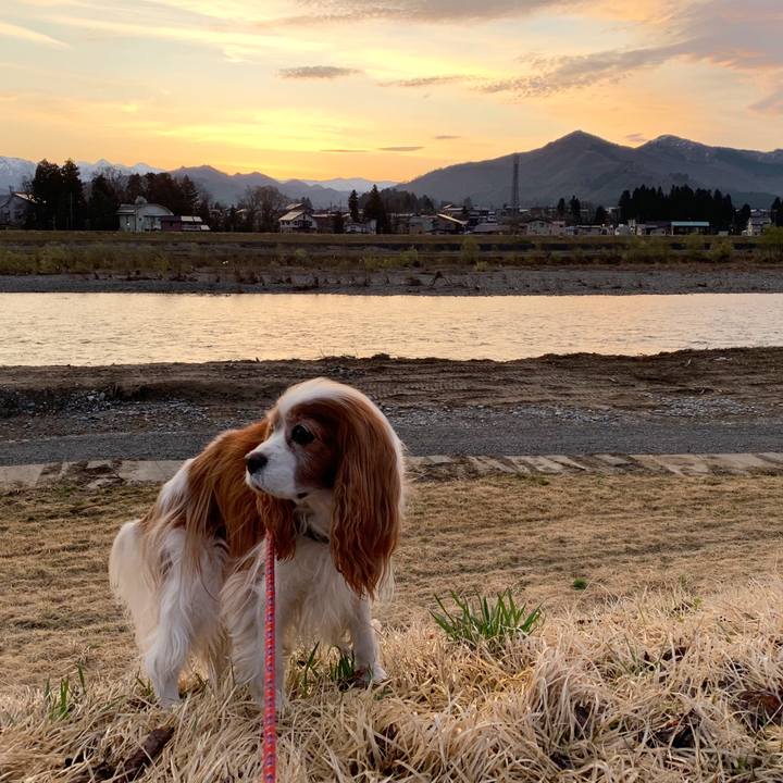 C572cf63 3b81 49ea 9893 2c1c134e8e3e 1585259573780