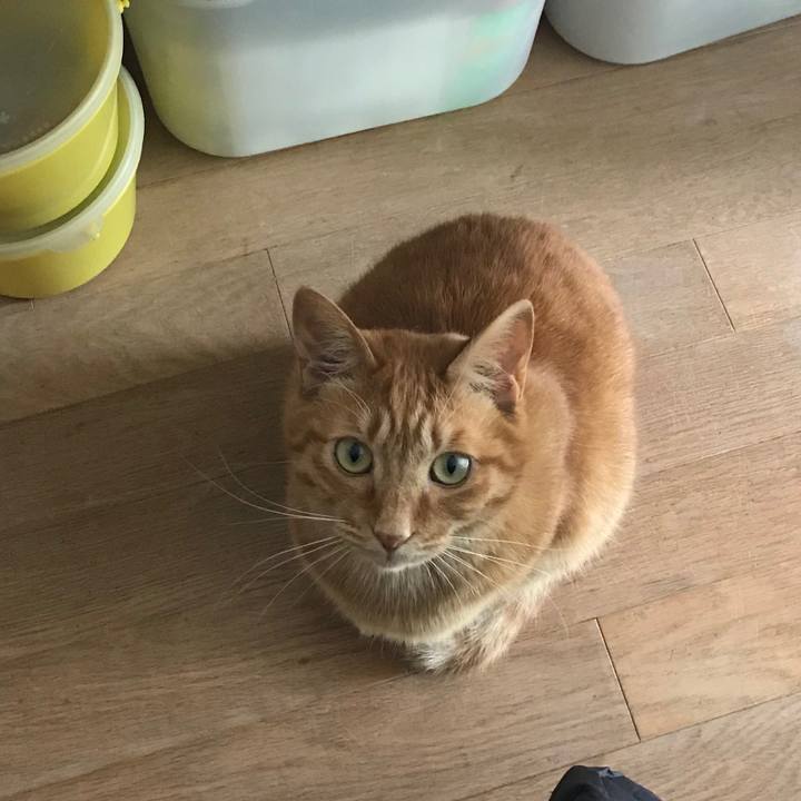 C572e846 98e9 4048 97e3 f71c01f999a3 1524717418151