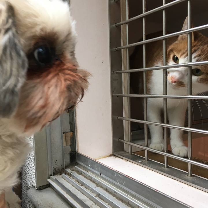 C573275b 67a9 448a a284 b1c1d2181b8d 1574654656608