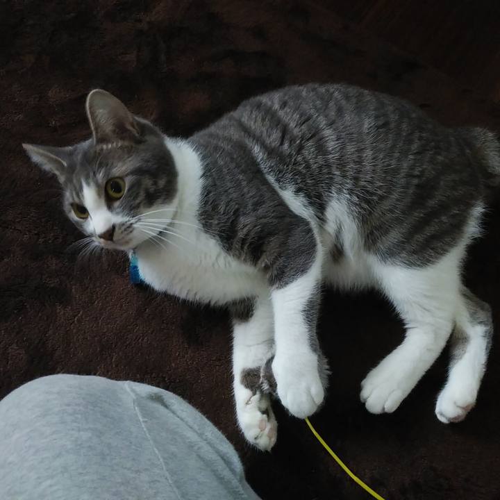 C5734e68 5147 446d b9a8 9ff9c2571aa9 1583278517581