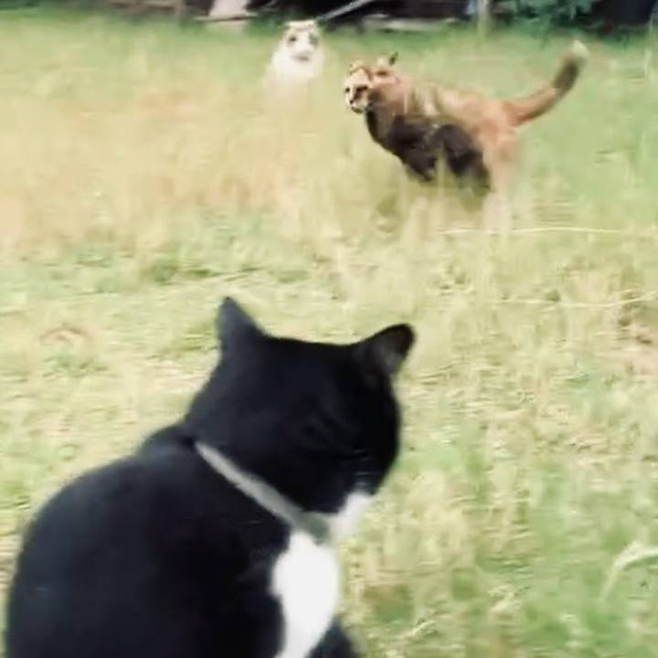 C5734f76 5c78 4ebb bc38 5be7b0b9f625 1730791592820