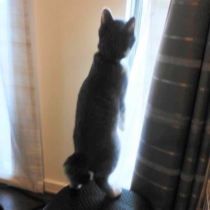 C573649b 3b6c 4163 bca4 909ca03234db 1570175803716