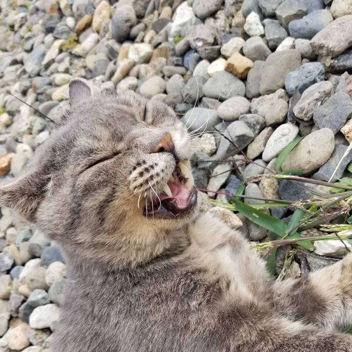 C573763c 517f 45b4 a41a 3c6ba33cd347 1538278719853