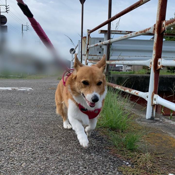 C5737ad0 47d9 4010 a5b6 cd8ad582bee1 1697246663261