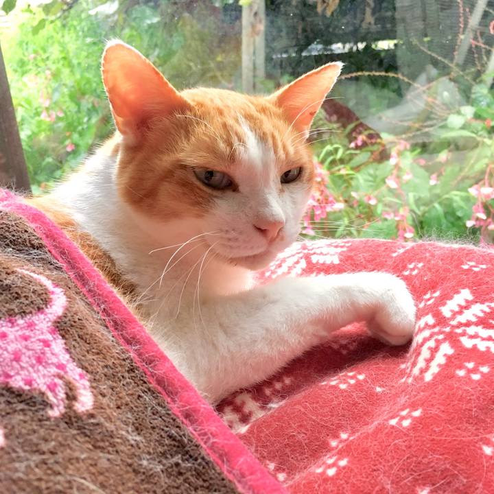 C573b673 14bd 4d3d bb1c 8e9089db5fcb 1568262027489