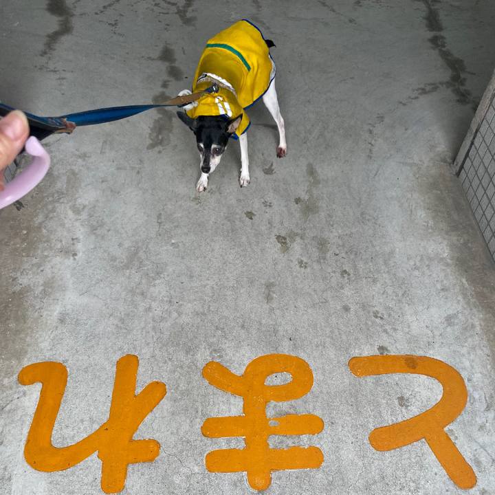 C573bd76 61de 4468 b559 80b65ba24db6 1591914004022