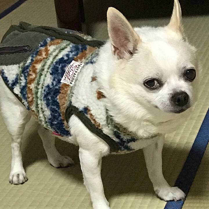 C574642f 86f0 4ea4 849e bf42d616437e 1580821011754