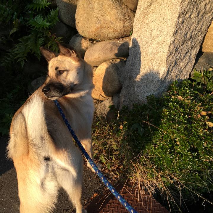 C574754b dcf6 4b71 a87c 7d6b6591be17 1509964995788