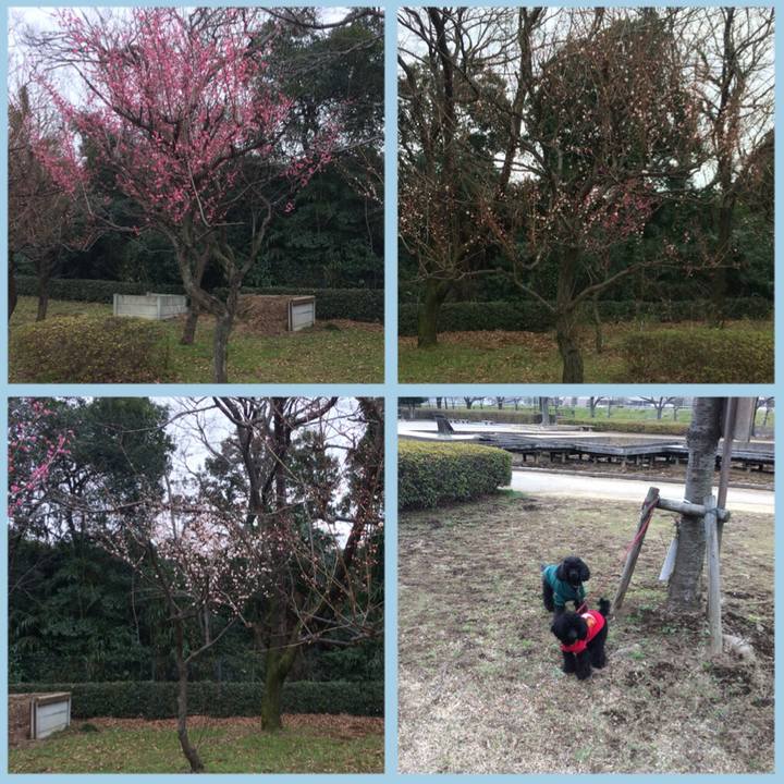 C57487af a356 44bf 888d 5b5da43df0f5 1519520379048