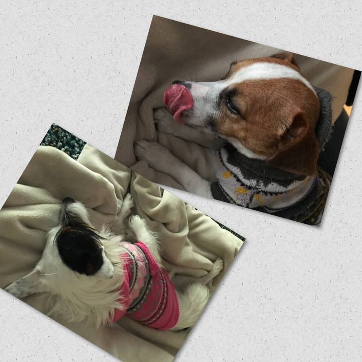 C574ac49 f742 41fe b079 d954dabc0a03 1517145411532