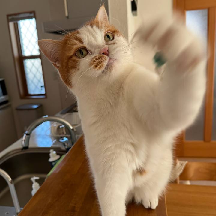 C574e5b8 67b2 415b 8306 287a022c9313 1763519212114