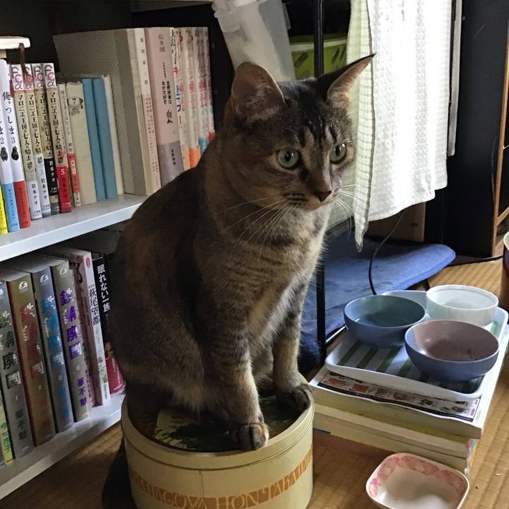 C574e7f8 ce62 41ca a0ea 160ee8885b2a 1630213871901