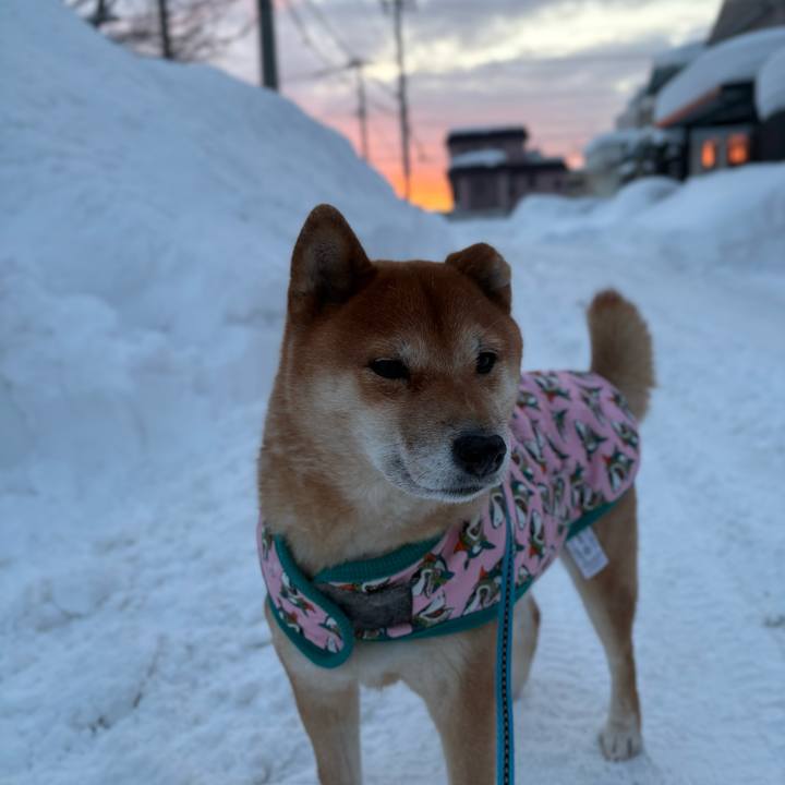 C574f4f2 01f9 4fb8 b45d d2ec51f8deaa 1770092985892