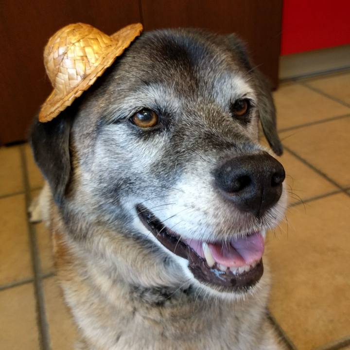 C57523bd f9c4 42a3 9940 b1bb2fc38f8a 1753574065520