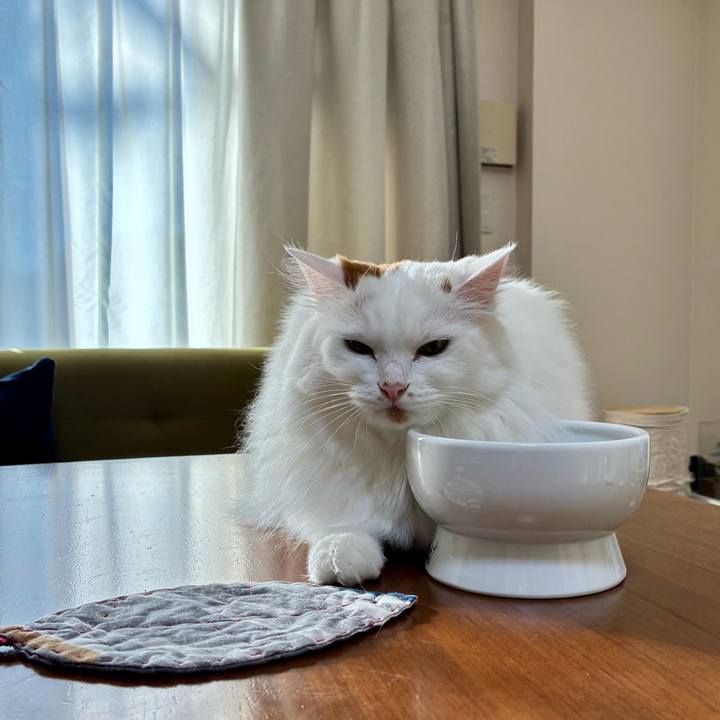 C5755503 21a8 40e4 a4a8 fc71d116400c 1763609754924