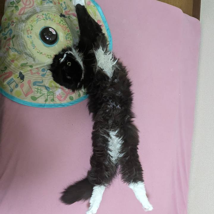 C5755eaa 036b 4968 ab2e 9ab272df6c41 1712578672734