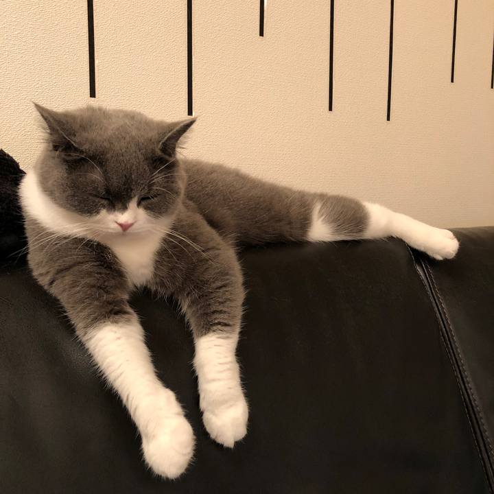 C57566e2 6891 4b75 a36d 6932269b6446 1539432156473