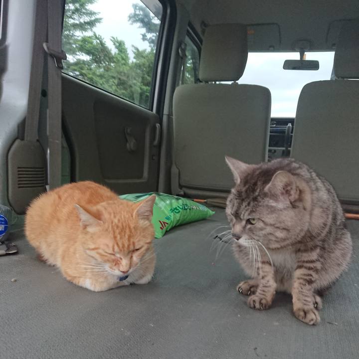 C5759ea9 cf19 44d7 a051 63a4411d932b 1559039675211