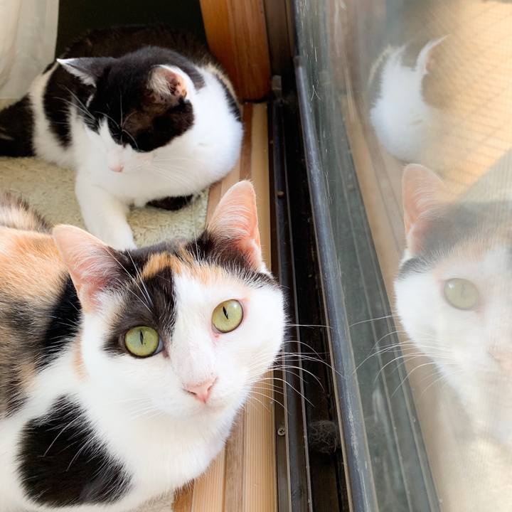 C575a1a4 516f 4a50 a648 234106386ab2 1566349425478