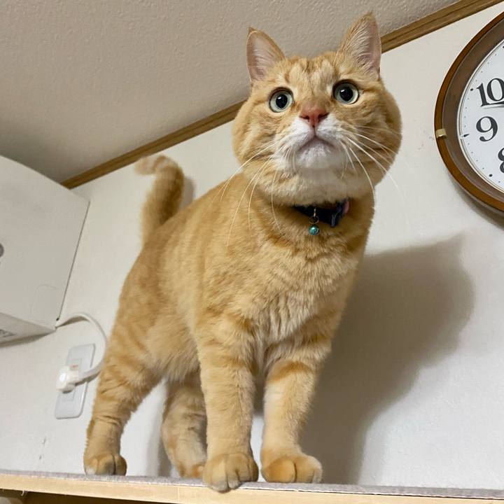 C575acfa c9f7 40d3 b307 f53c9f2a2e32 1678752604756