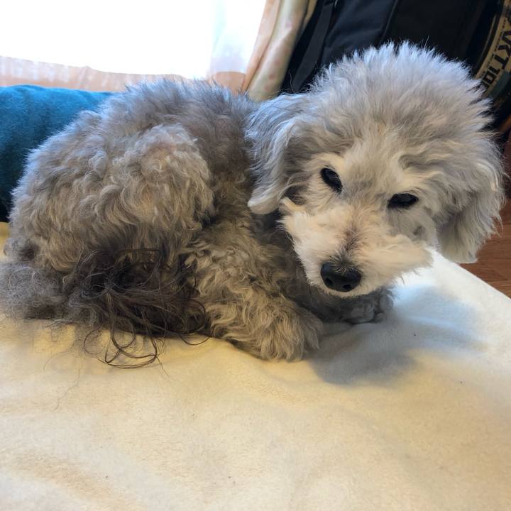 C575d4f5 3364 4a28 b022 ef3e88027840 1549926846784