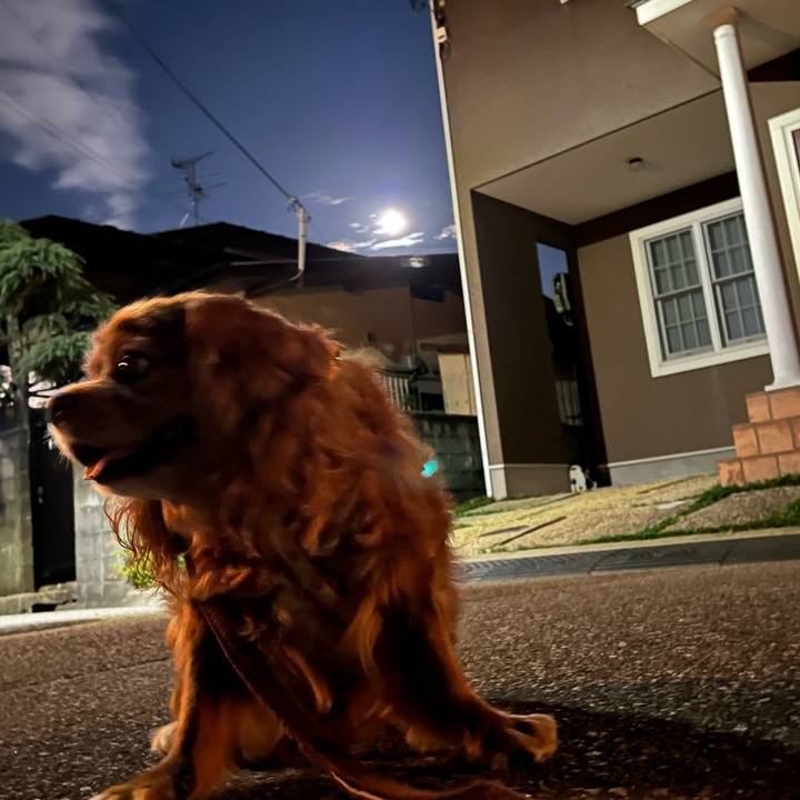 C575dadc 2068 4494 8861 7f54e093157d 1726659418020