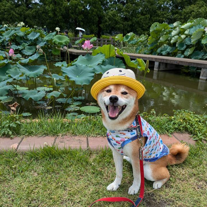 C576271f 307a 413c bf10 f2120578454b 1721345942133