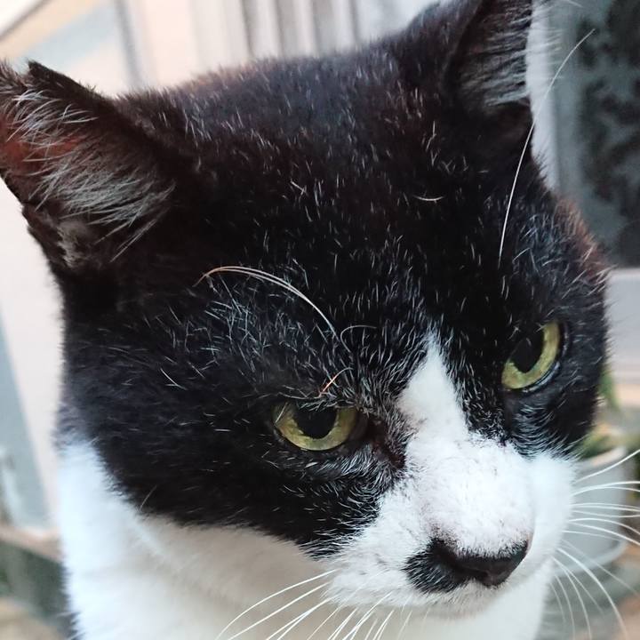 C576dd0b fbff 4b09 8959 a50638c076e9 1696064325778