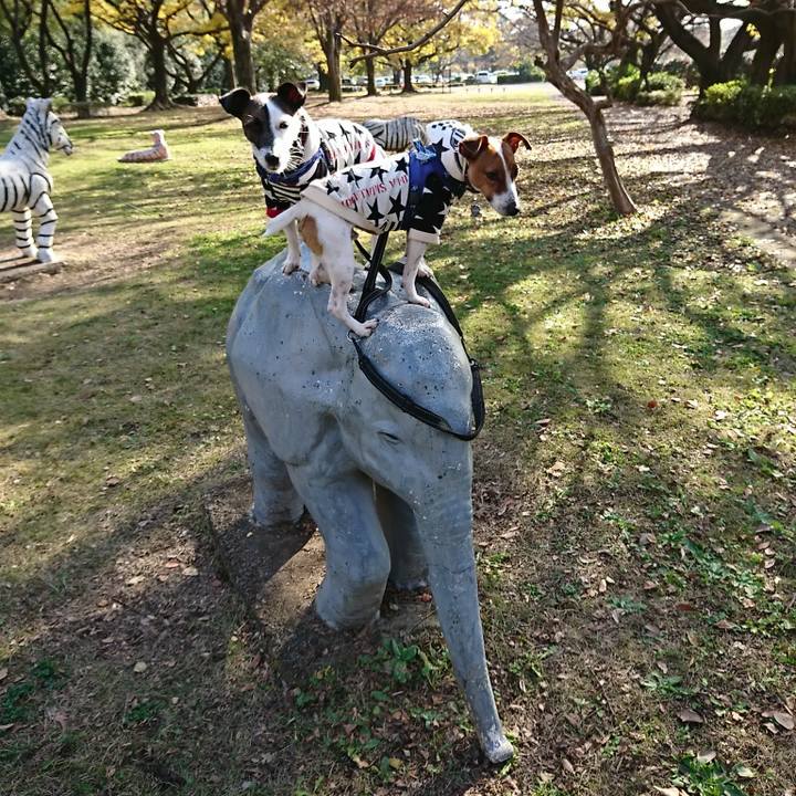 C57701a1 9531 4608 90d7 bb0b19778c10 1543631184892