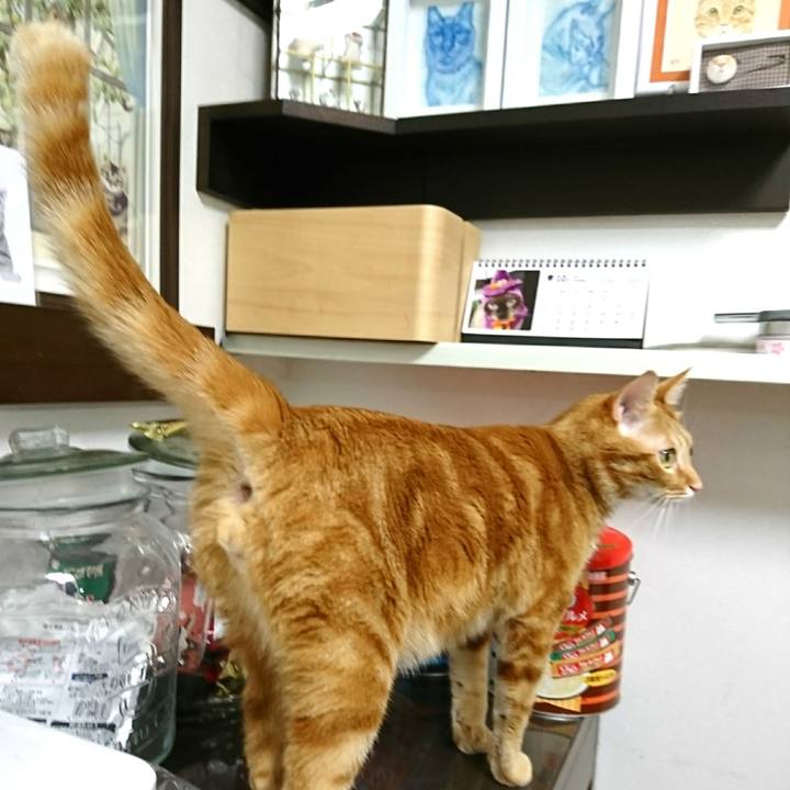 C57702e8 b4c4 434c bec2 8d43b17b003f 1538348370064