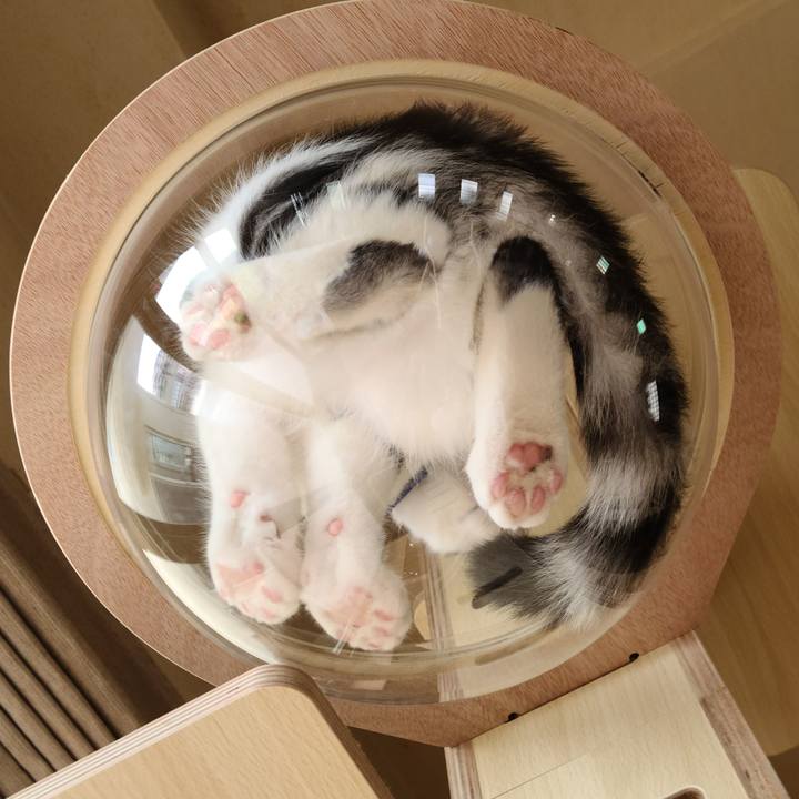 C5770b81 a188 48c5 89e0 001e68504406 1629875822884