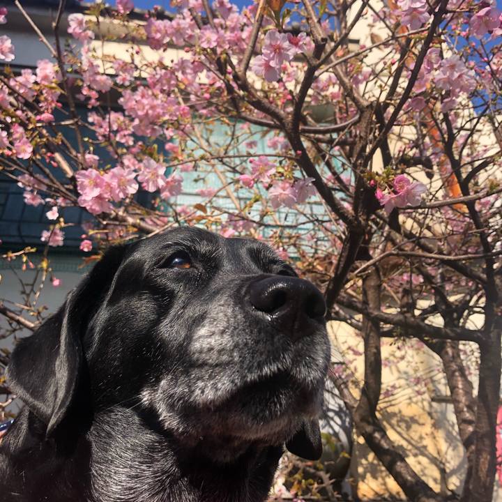 C5775514 6224 4a96 817f 7b36440ef6bd 1581143943555