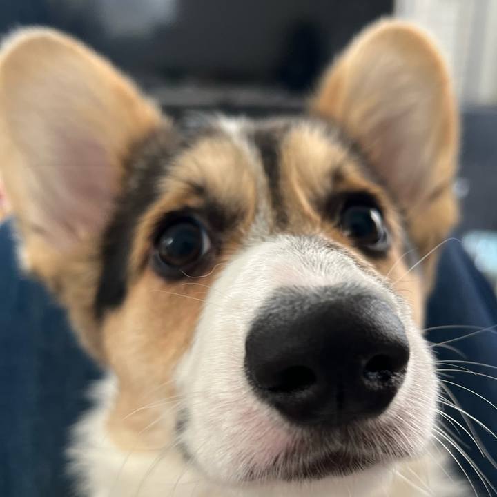 C57765ce e1cc 42cd a3ea 587b0b87964b 1774778966025