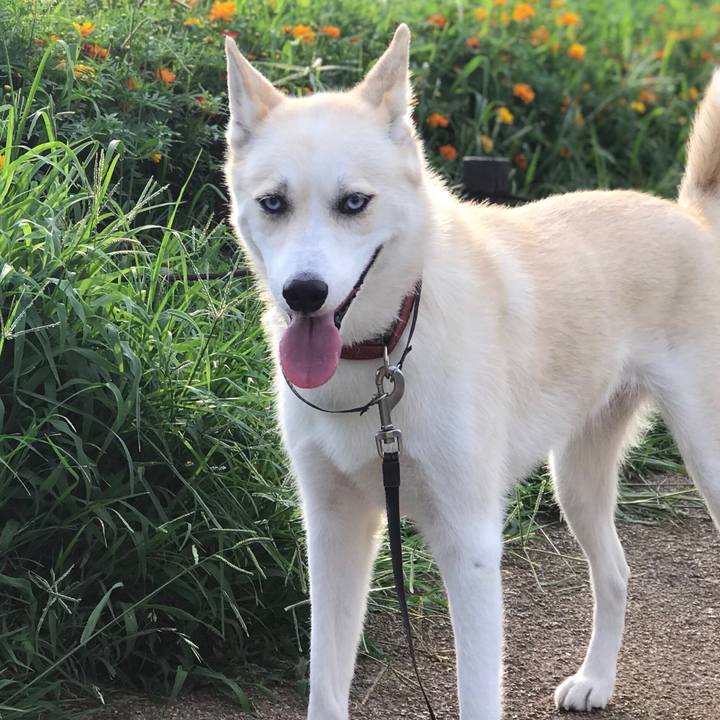 C5779067 6e1a 47f6 842f c457573eca09 1532041284690