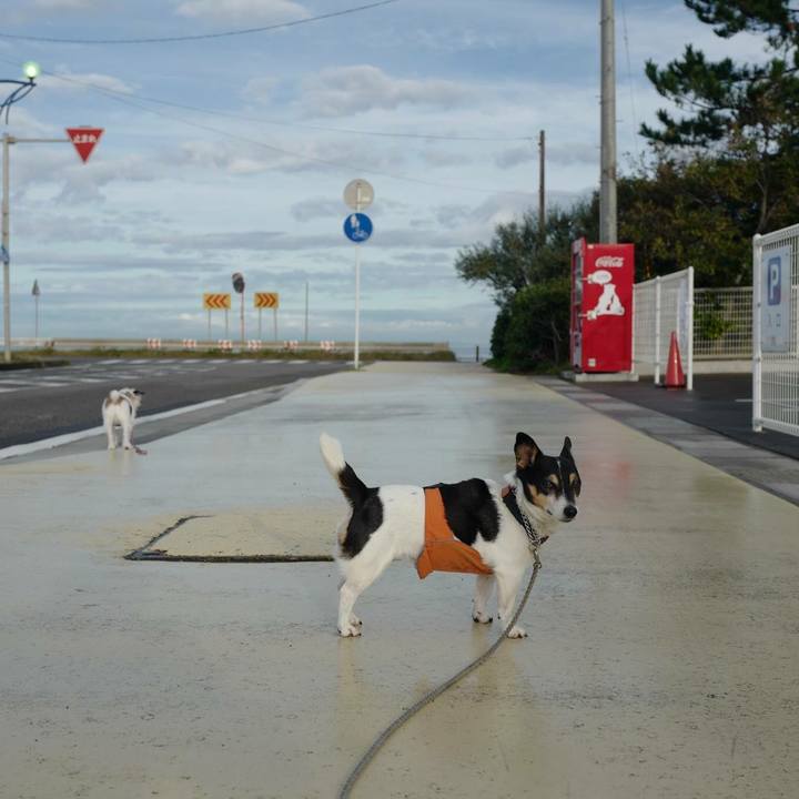 C5782590 85ca 4269 b4eb 694d07263635 1508559646773