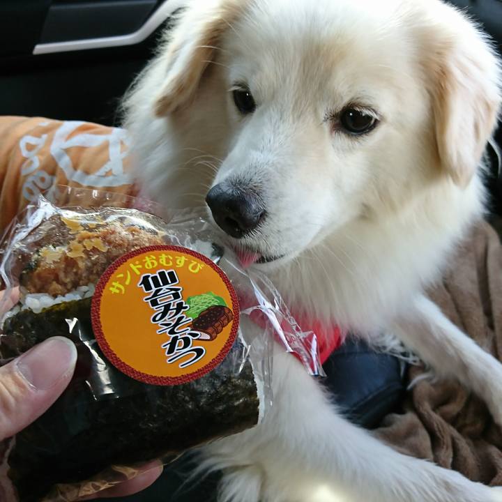 C5787748 2705 49b5 9270 4d1dfa5e85d4 1511497209796