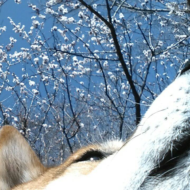 C5788722 12ae 4b42 b66b a726e7b957ea 1520853300092