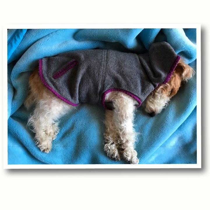 C578a35b 22bc 46d5 b9ba 813f1f4fa08d 1511219415062