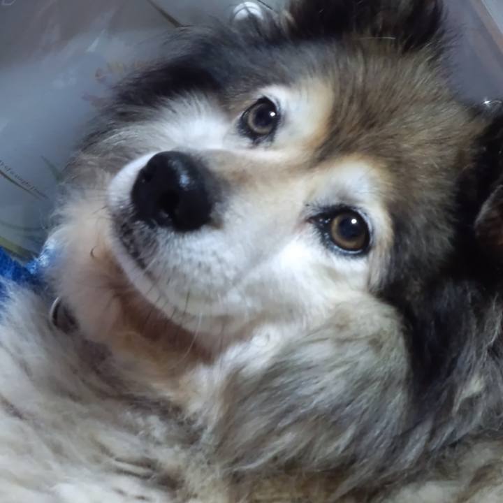 C578c6ed 9ae7 48af 802f eb511fe774cb 1665011996816