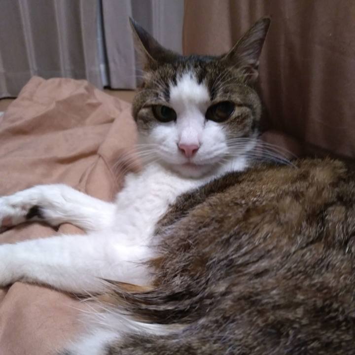 C578c7b7 5eee 4e34 b259 494cbf381731 1524056442249