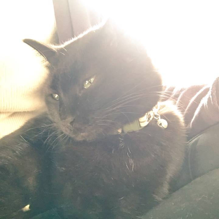 C578f1f8 079e 46ee 920b 455dc0ef3c45 1542499096475