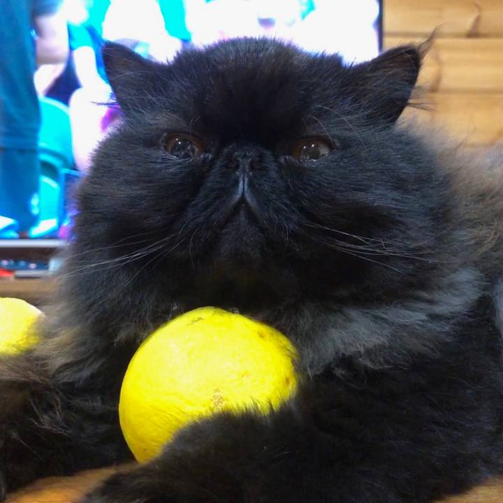 C578f8b5 2c5b 4f6d ab0c 825f86633512 1562418514166